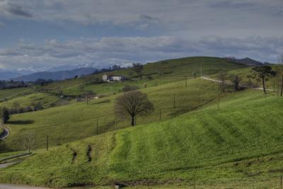 Прикрепленное изображение: IMG_1130_Enhancer_w.jpg